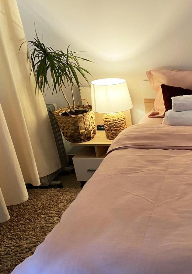 Casa Carbunaru Tîrgu Ocna エクステリア 写真