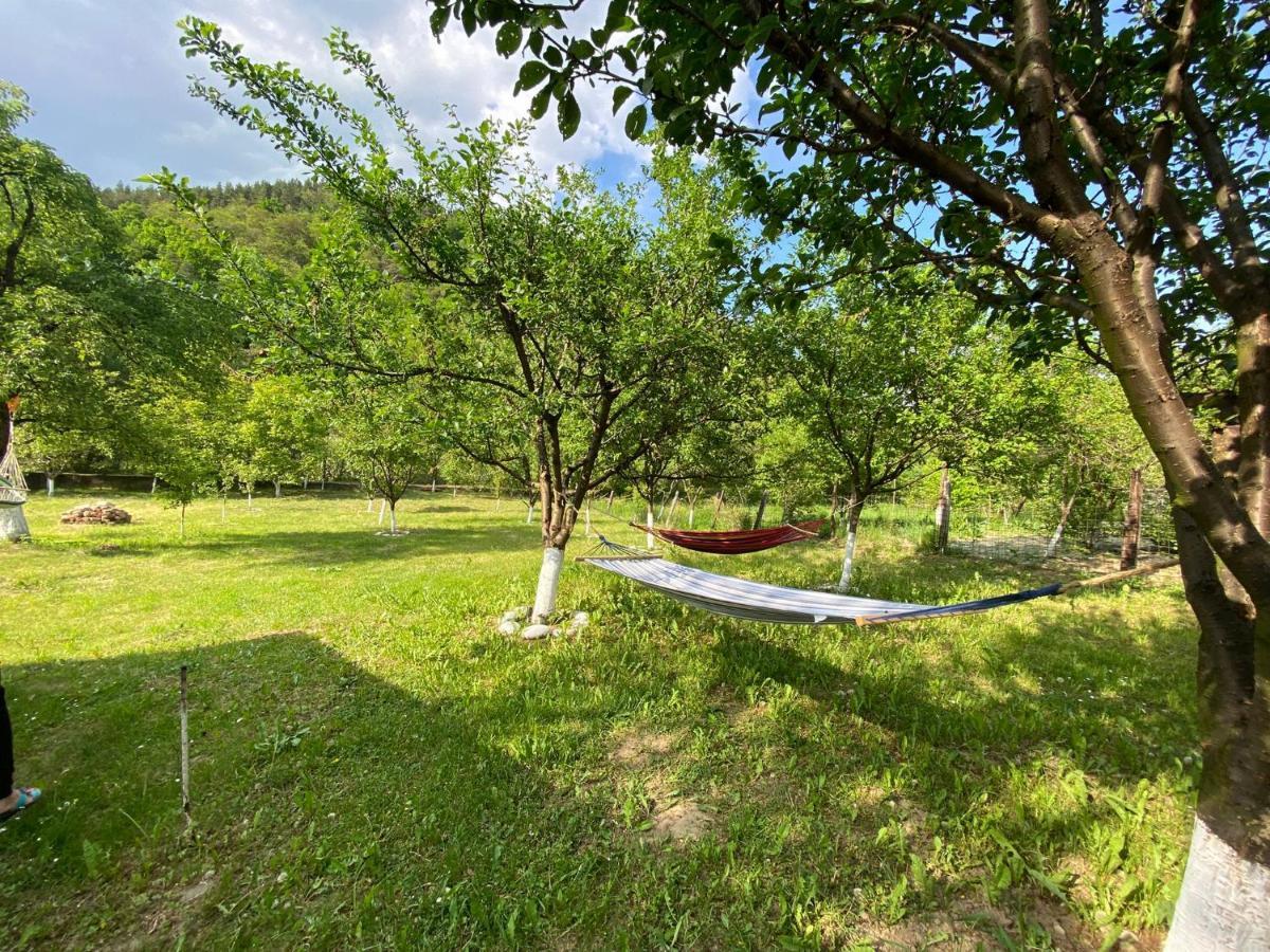 Casa Carbunaru Tîrgu Ocna エクステリア 写真