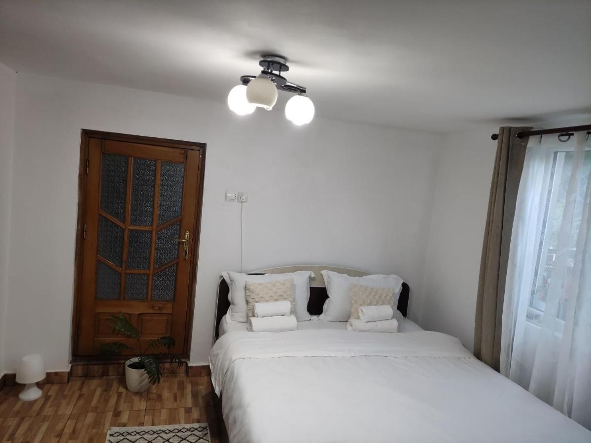 Casa Carbunaru Tîrgu Ocna エクステリア 写真