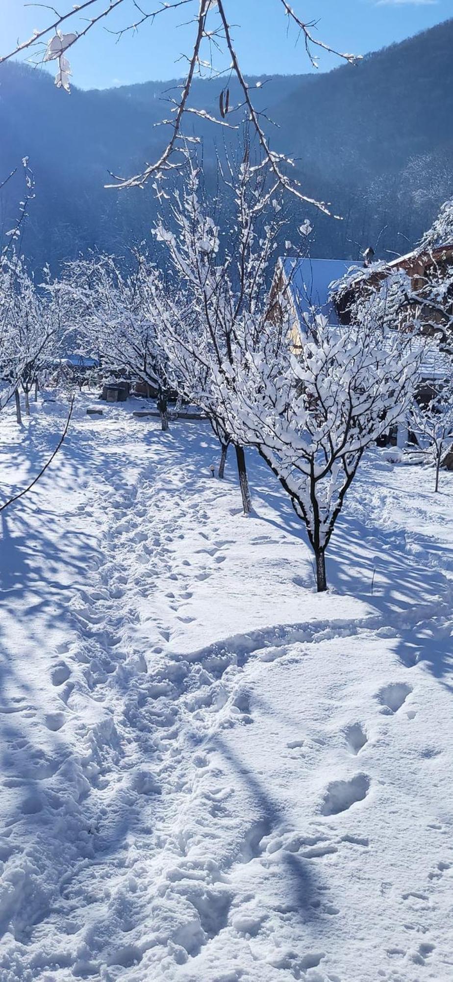 Casa Carbunaru Tîrgu Ocna エクステリア 写真