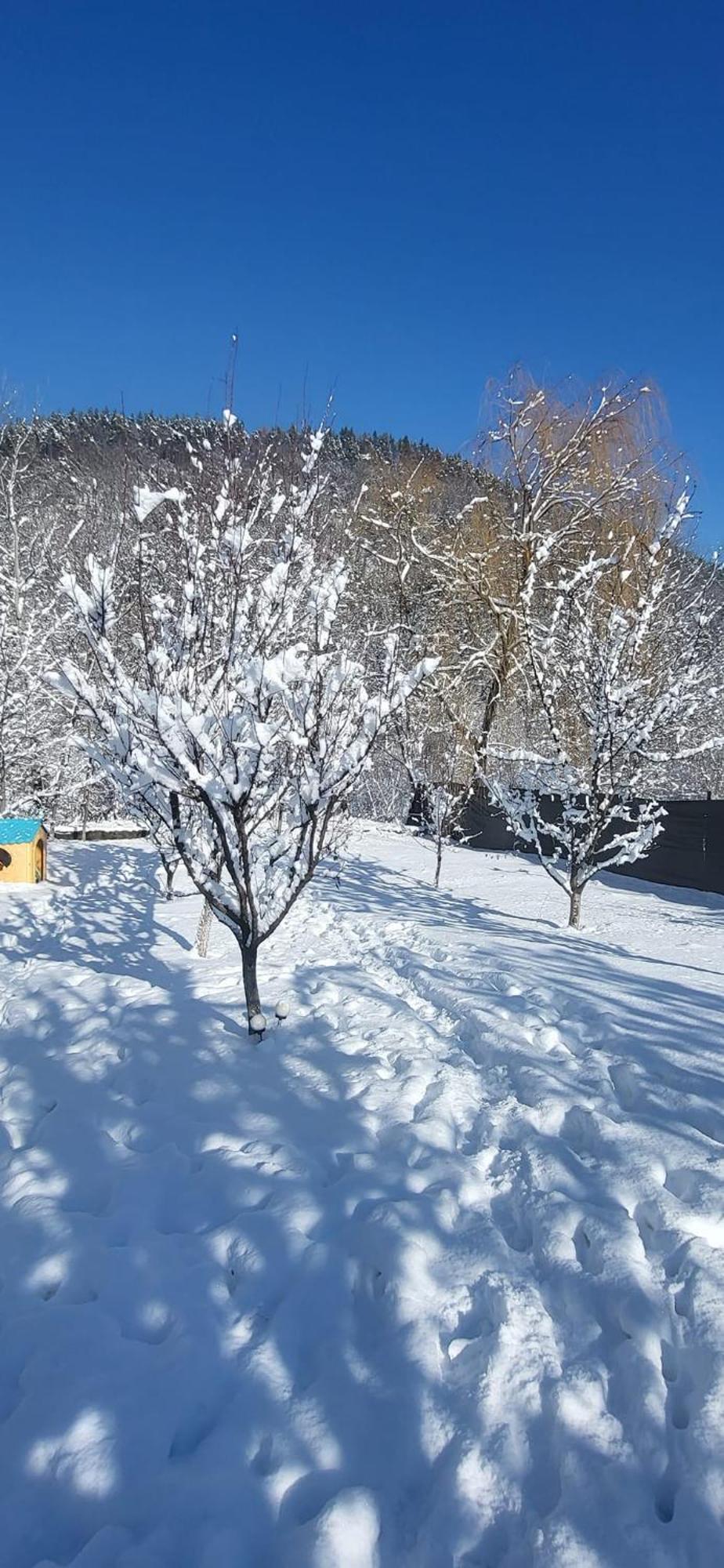 Casa Carbunaru Tîrgu Ocna エクステリア 写真