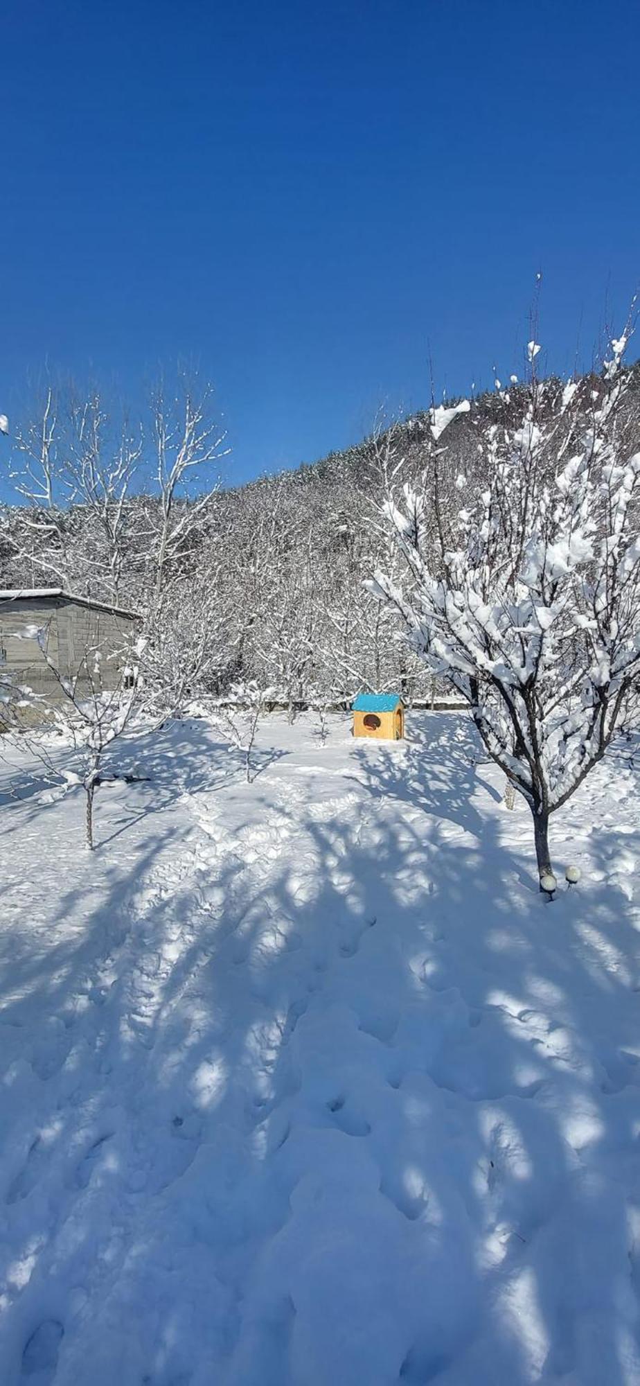 Casa Carbunaru Tîrgu Ocna エクステリア 写真